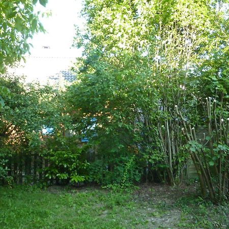 Studio 30 M2 Jardinet 10Minutes Annecy Βίλα Naves-Parmelan Εξωτερικό φωτογραφία