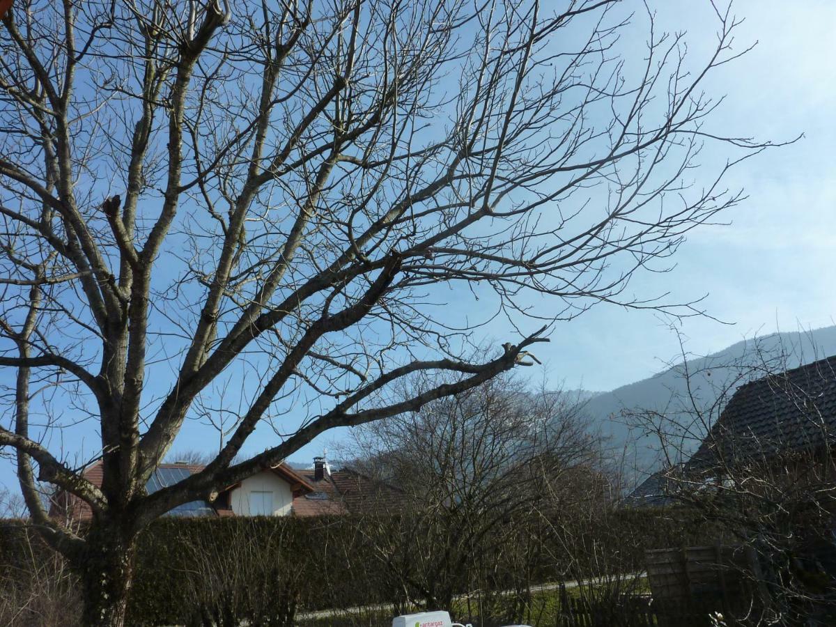 Studio 30 M2 Jardinet 10Minutes Annecy Βίλα Naves-Parmelan Εξωτερικό φωτογραφία